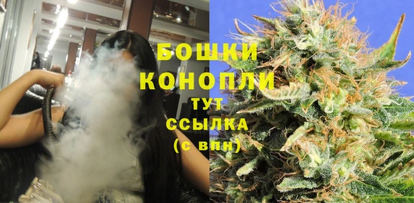 сатива Алзамай