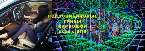 сатива Алзамай