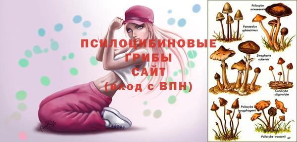 гидра Алексин